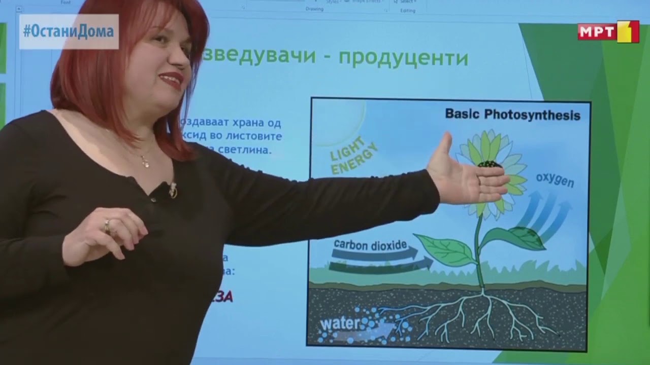 VI одделение - Природни науки: Синџир на исхрана - 31 март