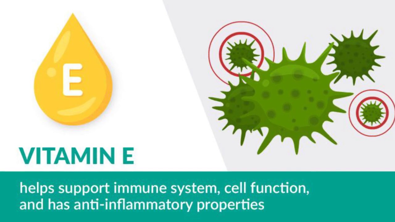 Mountain Ice Ingredients 720p YouTube