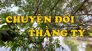 Hồi Ký Miền Nam | CHUYỆN ĐỜI THẰNG TÝ (Trang Y Hạ)