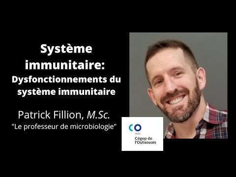 Vidéo: Ulcères Cutanés Et Dépigmentation (liés Au Système Immunitaire) Chez Le Chat