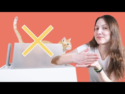 Video: 5 sai lầm của Litterbox bạn có thể mắc phải