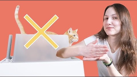 Are You Setting Up The Litter Box Wrong? (10 Biggest Mistakes)