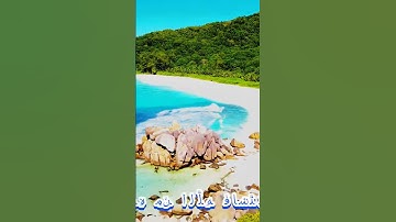 سورة التوبة و،؛كا.نك تسمعها لأ،.و.ل مر.ة🏵️؛،💘💙،.💗🧡🌼💛بصوت الشيخ حمزة مدبو.ح 💚؛؛🌸💗🌷..💗💮،.💔