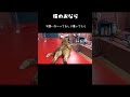 こんな完璧な猫のおなら動画みたことない!#猫のおなら#猫#猫動画