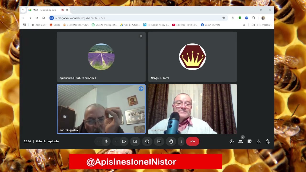 AndreiIgnatov contra TudorelNeagu? 18 10  2024 