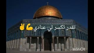 اسمع كلامي اسمع ولك 🇵🇸✌️💪#تصميمي اسمع كلامي اسمع كلامي ولك 🇵🇸✌️💪