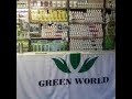 All green world products overview