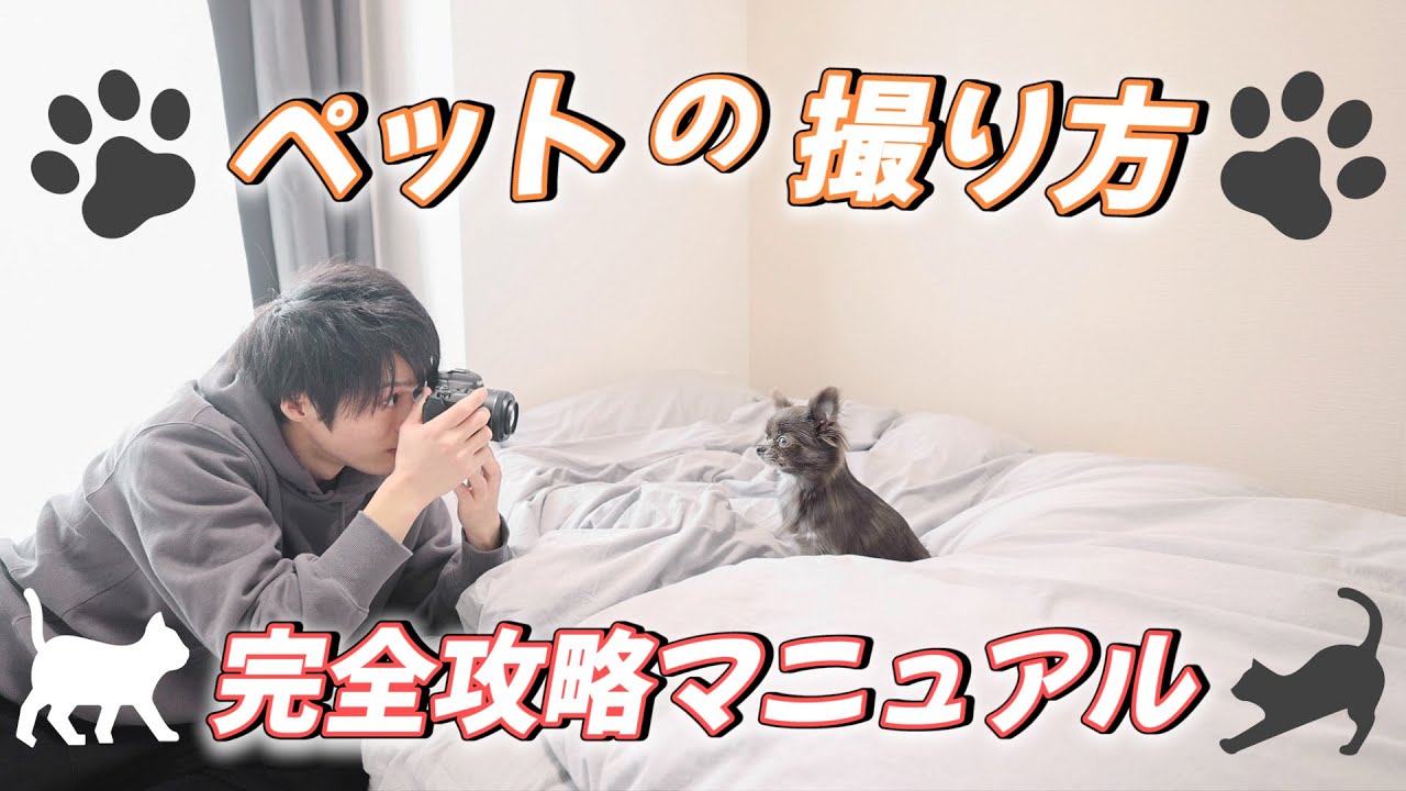 簡単に真似できる！ペットが可愛く撮れる撮影テクニック！