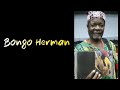The great bongo herman