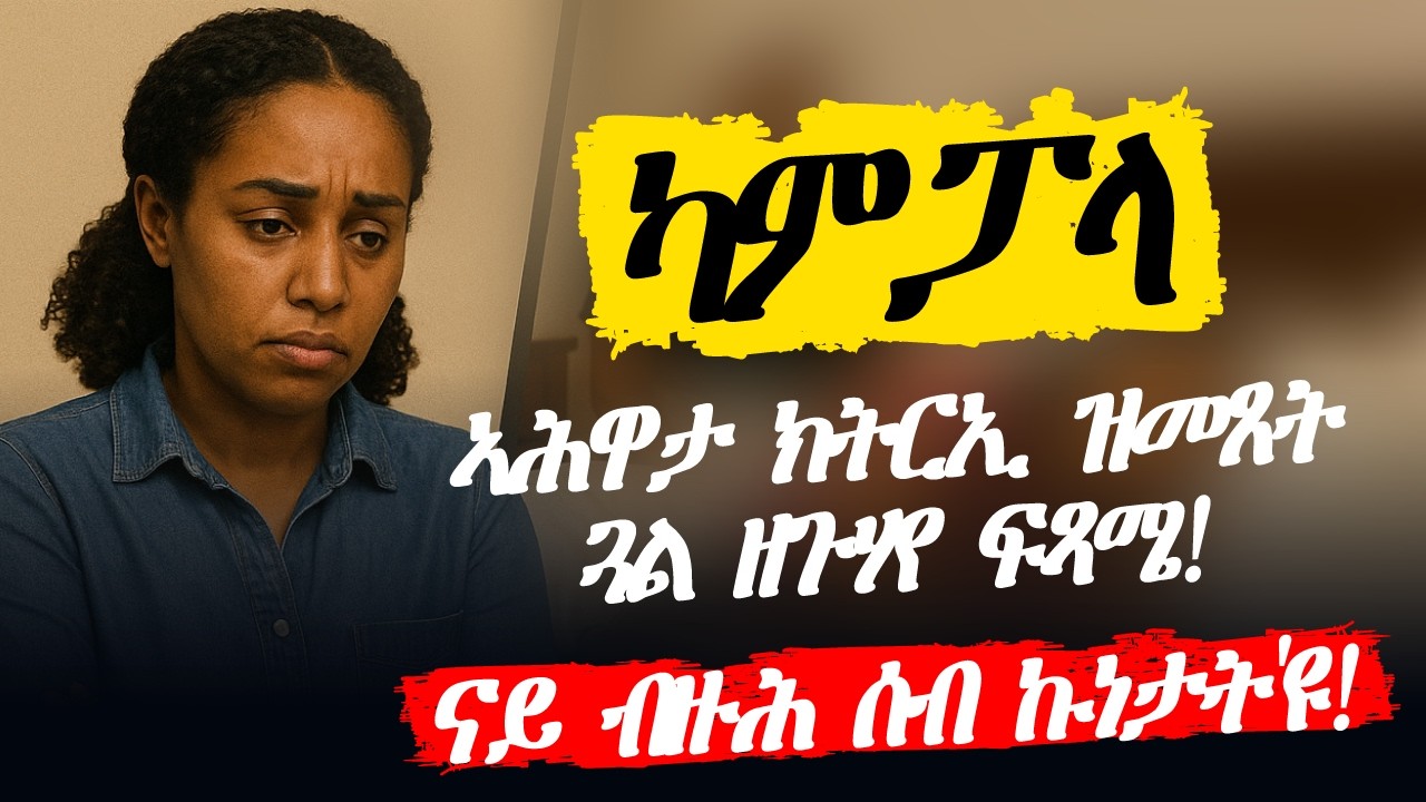 ካብ ኤውሮጳ መጺኣ እንታይ ረኸባ?
