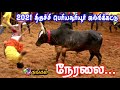 2021 trichy sooriyur jallikattu live  thangam tv live thangam manavai live stream