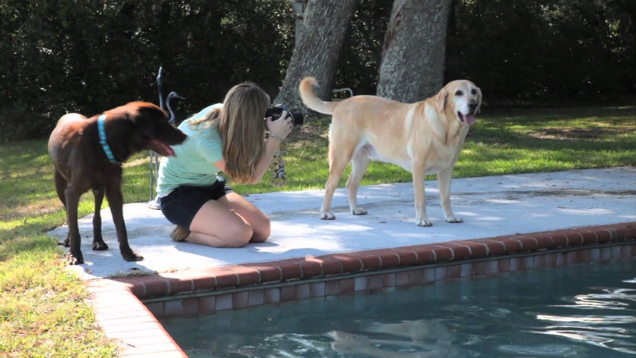 Tamron How to Pets Photography Tips for Getting Great OnLocation Shots of Your Pets YouTube