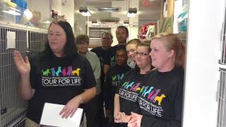 North Shore Animal League "Tour for Life" Adoption Event