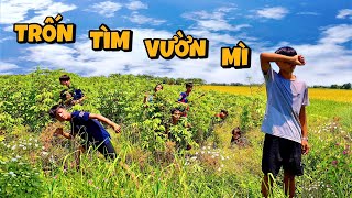 Anh Ba Phải | Trốn Tìm Ở Vườn Mì - Đầy Kịch Tích