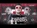 PASSARO NOTURNO - Junior rocha - REMIX - FORRO BATIDÃO - ( DJ WilliaMix ) SOLTA O PLAY