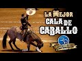 ¡¡GRACIAS!! Alejandro Goñi Rojo - La mejor Cala de Caballo - IV Campeonato Centenario 2020