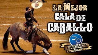 ¡¡GRACIAS!! Alejandro Goñi Rojo  La mejor Cala de Caballo  IV Campeonato Centenario 2020