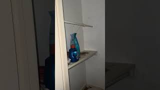 12531 Ashford Meadow walkthrough unit C 12531 Ashford Meadow walkthrough unit C