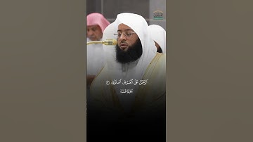 طه ١ مَآ أَنزَلۡنَا عَلَيۡكَ ٱلۡقُرۡءَانَ لِتَشۡقَىٰٓ |ماتيسر من سورة طه |فضيله الشيخ بدر التركي