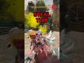 Steal This While You Can in Warframe