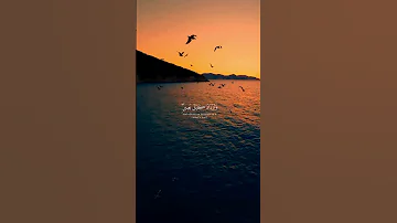 قرآن كريم هذه بضعتنا ردت الينا راحه سمعيه مع القارئ محمود الشحات 