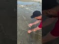 Spotted fish in shallow water #fishing #netfishing