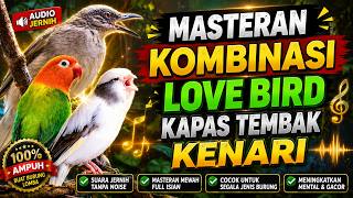 MASTERAN KOMBINASI LOVE BIRD   KAPAS TEMBAK   KENARI 🔥 AUDIO JERNIH  FULL ISIAN GACOR