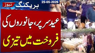 Eid ul Adha 2026 | Eid Qareeb Atay He Janwaron Ki Farokht Mein Tezi | Samaa TV