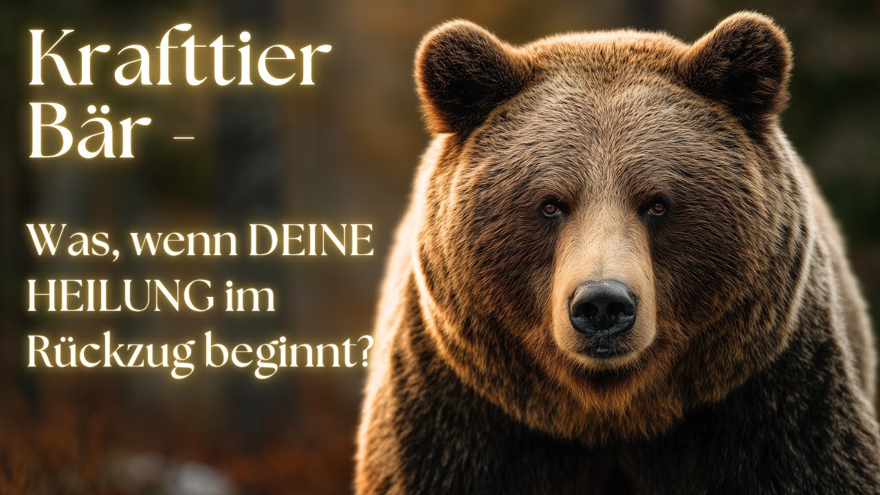 Krafttier Bär 🐻 – Heile in deiner eigenen Kraft | Innere Stärke & Erdung finden