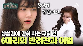 [#금쪽상담소] 4년간 떠나보낸 반려견이 6마리.. 이별을 받아들이지 못하는 구혜선 | 오은영의 금쪽 상담소 134 회