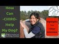 How Can A Chiropractor Help My Dog? | The Animal Chiro | *HIGHLIGHTS* How Can A Chiropractor Help My Dog? | The Animal Chiro | *HIGHLIGHTS*