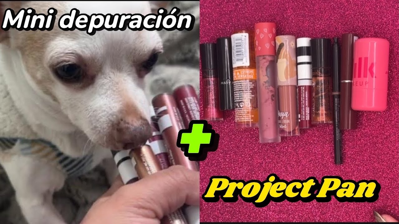 Project Pan de Labiales vamos arrasando con lo malo 🙅‍♀️ aquí remontamos|MINI DEPURACIÓN 