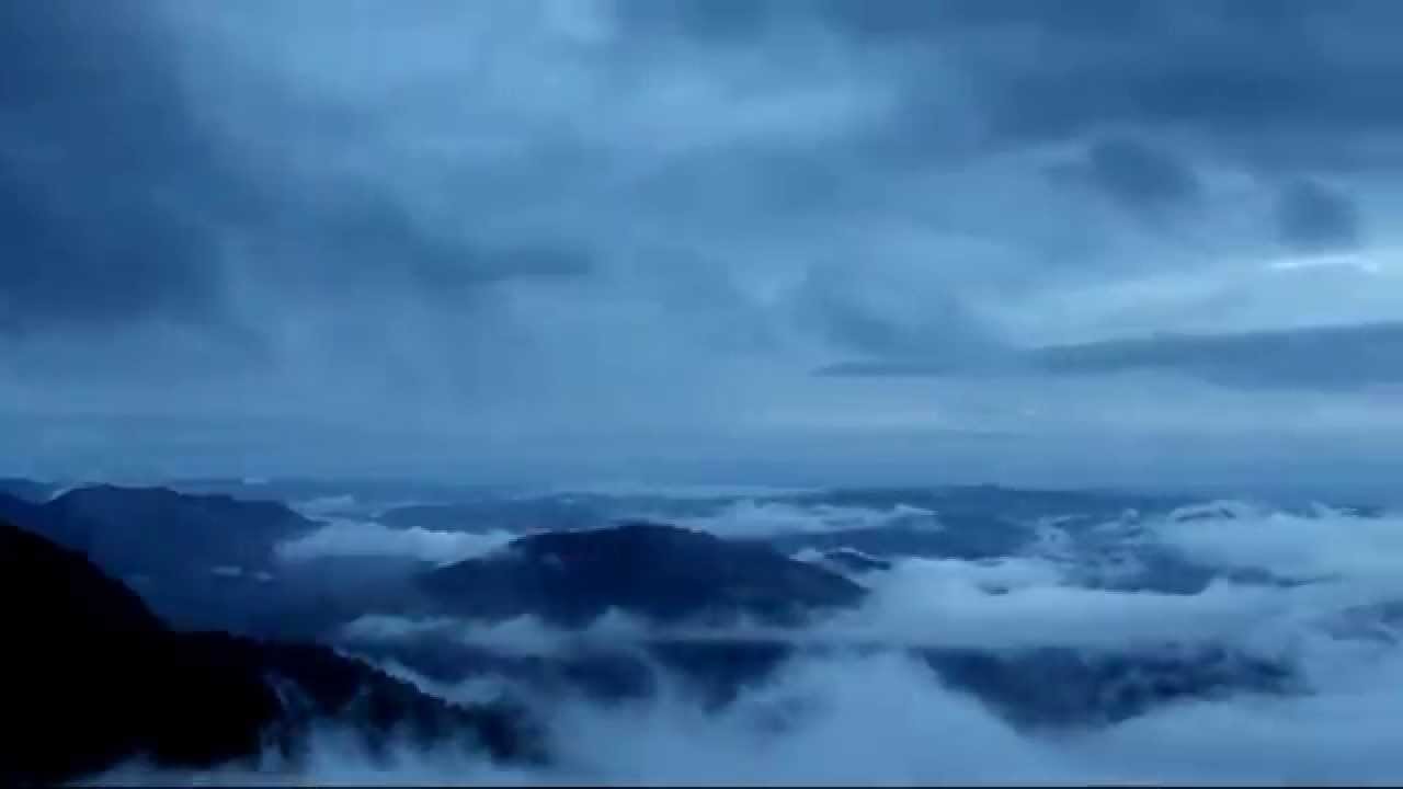 Signature Film of SiGNS 2013 by tropical cinema