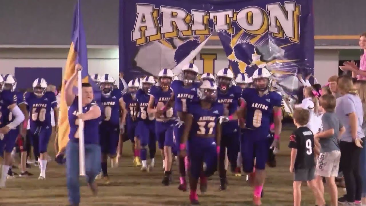 Senior leadership strength for Purple Cats YouTube