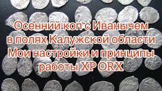 Коп в Калужской области с Xp ORX  поздней осенью. Настройки ORX
