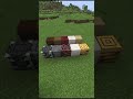 Unseen Rare Anomalies in Minecraft #5