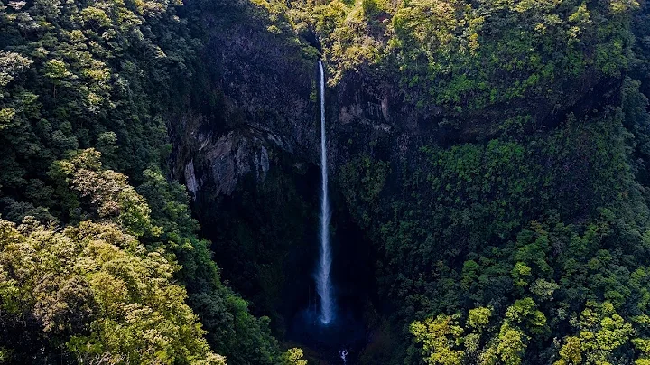 The Birth of Planet Earth