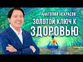 Анатолий Некрасов: Золотой ключ к здоровью!