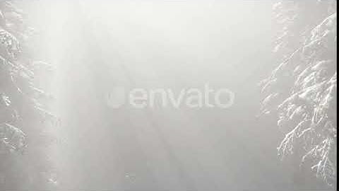 Misty Fog in Pine Forest on Mountain Slopes | Motion Graphics - Envato elements