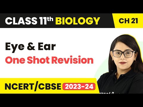 Term 2 Exam Class 11 Biology Chapter 21 |Eye & Ear (One Shot Revision)-Neural Control & Coordination