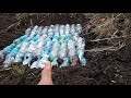 Применение пластиковых бутылок на огороде.