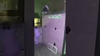 CCTV is NOT optional anymore| Home Security Tips
