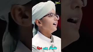 Main banda e Aasi Hun / Teri Rehmat Ka Talabgar Hun /Naat / Syed Hassan ullah Hussaini /WhatsStatus