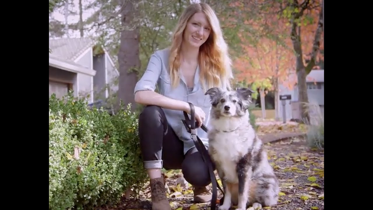 How Koda the dog recovered from heart surgery with Danodan Hempworks Hemp Flower Infusion.