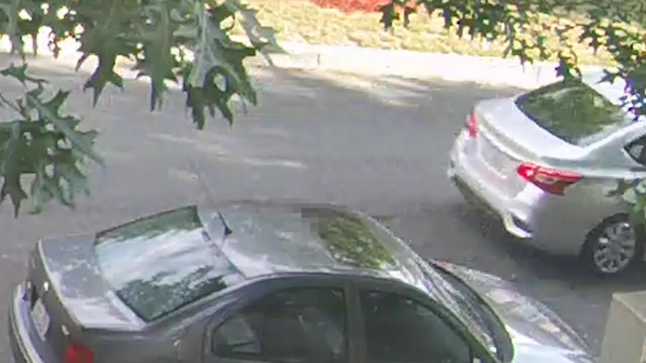 Persons of Interest in Unarmed Carjacking, 1100 b/o Wahler Pl, SE, on July 19, 2020