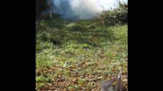 Tannerite vs Dryer