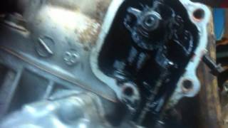 IMG 3845