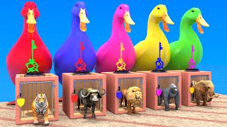 Gorilla Elephant Lion Buffalo Tiger Choose the RIGHT Animal ESCAPE ROOM CHALLENGE | 3d Animal Game screenshot 5