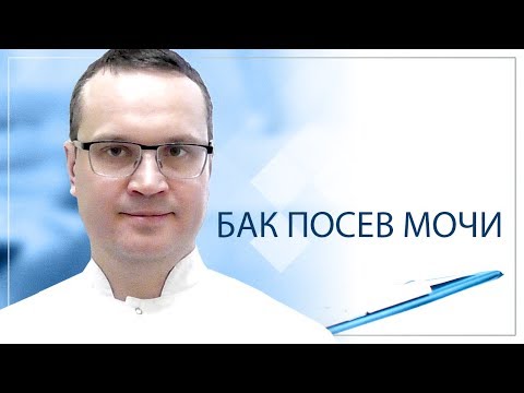 Бак посев мочи