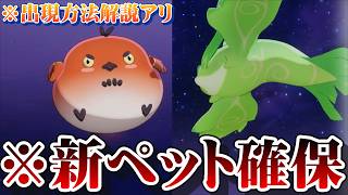 The Seven Deadly Sins: Origin] Guide: How to Get the 2 New Pets in